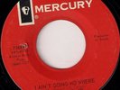 Rare NORTHERN SOUL 45 - JIMMIE REED JR on MERCURY