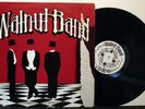 WALNUT BAND Go Nuts '76 private Boston psych hippie Grateful Dead style NM- LP