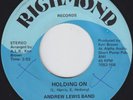 Modern Soul Funk 45 - Andrew Lewis Band 