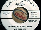 * SAPPHIRES Gonna Be A Big Thing  NORTHERN SOUL DJ PROMO ABC 45 HEAR
