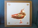Lamp of the Universe Earth Spirit & Sky, Dungen