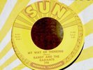 Garage 45-Randy & The Radiants-My Way of Thinking-Sun 398-VG+