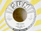 Garage 45-Randy & The Radiants-Peek A Boo-Sun 395-PROMO-NICE VG++