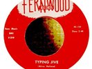 Rockabilly 45-Alvin & Bill-Typing Jive-Fernwood 124-STUNNING