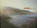 Incubus Morning View 2 record set