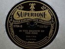 1930 Gene Autry Supertone Gennett Country Yodel Hillbilly 78
