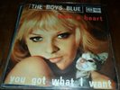 Boys BLue Italy only Garage freakbeat 45 66 PS You got