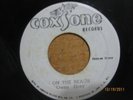 OWEN GRAY - ON THE BEACH / THE BLUES BLASTERS - SHUFFLING JUG- LISTEN
