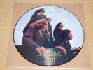 PARADISE LOST-Gothic PICTURE LP Peaceville 1991mint