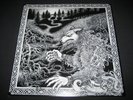 SATANIC WARMASTER Nachzehrer BEER COLOURED VINYL LP burzum mayhem marduk beherit