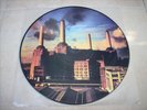 PINK FLOYD - ANIMALS PICTURE DISC - NEAR MINT - RARE