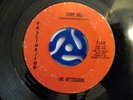 INSTRO: Mysterions DOWN HILL/One Night in Paradise VERY RARE Detroit rocker HEAR
