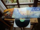 ZZ TOP TEJAS IN MINT 3-PAGE COVER IN 1976 TOP ROCK LP