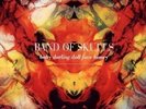 Band Of Skulls - baby darling doll face honey  RARE OOP ORIG UK Vinyl LP (New)