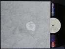 DOUBLE LEOPARDS 2001 EXPERIMENTAL LTD # LP PEBBLE IN UNMAPPED REVOLUTIONS  NM