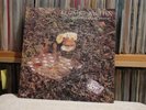 KOZMIC MUFFIN The Space Between Grief and Comfort LP  psych  prog