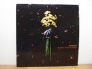 Cursive - Burst and Bloom  LBJ-35 Lp