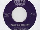 rare Original Northern Soul THE FABULOUS JADES 