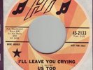 US TOO I'll Leave You Crying Hi psych fuzz garage Ohio