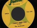 (Hear) Scarce Aardvarks Michigan Fenton Garage 45 (I Don t Need You/ I Don t Bel