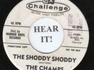 R&R INSTRO 45 The Champs (Challenge # 9113 PROMO) The Shoddy Shoddy/Sombrero