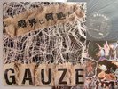 GAUZE -3rd ALBUM GISM GAUZE DEATH SIDE MINT PERFECT CON