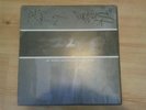 RARE Oz Aus Hip Hop PEGASUS 12