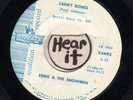 SURF INSTRUMENTALS--LIBERTY--EDDIE & SHOWMEN--LANKY BONES--HEAR BOTH