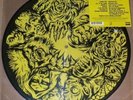 LIMITED ED ROB ZOMBIE HELLBILLY DELUXE PICTURE DISK LP