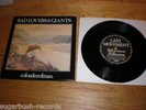 45 SAD LOVERS AND GIANTS  - COLOURLESS DREAM / THINGS WE NEVER DID (LM 005)