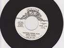 AD LIBS - NOTHING WORSE THAN BEING ALONE  - SHARE WHITE DEMO