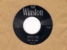 Rare Rockabilly 45 Slim Willet & Dean Beard Winston Abilene, Texas Sneaky Pete