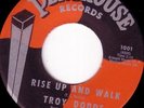 NORTHERN SOUL 45 - TROY DODDS - RISE UP AND WALK - RARE