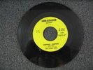THE LOVED ONES RARE 60s GARAGE PSYCH FUZZ PUNK POUNDER PROMO 45 SURPRISE FOR YOU