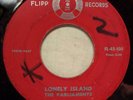 SOUL DOO-WOP PARLIAMENTS LONELY ISLAND RARE FLIPP 100 GEORGE CLINTON FUNKADELIC