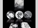 UNKLE U.N.K.L.E. WHERE DID THE NIGHT FALL ltd deluxe SURR017LP
