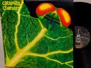 CATAPILLA ? CHANGES ? oop Akarma gimmck cover ? 1972 UK swirl Vertigo space prog