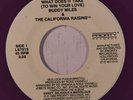 BUDDY MILES & CALIFORNIA RAISINS: What Does It Take To Win Your Love