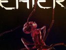Eater - The Album - The Label TLR LP 001 - orig. UK