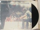 The Cardigans – First Band on the Moon LP vinyl rock lovefool
