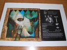 PARADISE LOST Shades Of God LP GOTHIC MY DYING BRIDE AMORPHIS SENTENCED ANATHEMA