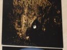 Wolves In The Throne Room - Two Hunters 2 LP limited clear Vinyl