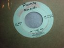 Fabulous Thunderbolts 45--Nebraska 60s garage frat rock
