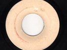 Viceroys - Promises - blank (Matador) 7