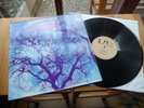 AMON DÜÜL II PHALLUS DEI KRAUTROCK IN MINT