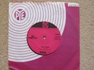 THE PRIMITIVES - You Said/How Do You Feel - Jimmy Page - Garage/Freakbeat RARE
