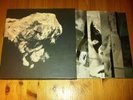Pixies - Death To The Pixies (4 x 10