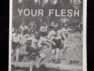 Your Flesh 2 kbd zine Social Distortion MDC Vice Squad L Seven L7 Husker Du