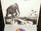 ROCKBAND MAMMUT Screaming Voices BRUTKASTEN Rare KRAUT 1979