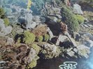 PARLIAMENT   OSMIUM   UNPLAYED/NM ORIG INVICTUS FUNK/PSYCH LP   GEORGE CLINTON